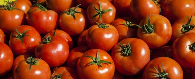 Tra i nostri prodotti ecco varie proposte di pomodoro per dare un gusto in più alla farina