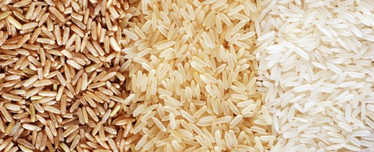 Il riso e le sue varietà tra I nostri prodotti per maggiori obiettivi