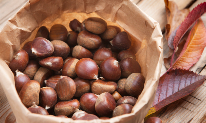 Le castagne e il venditore di caldarroste, le magie dell’autunno