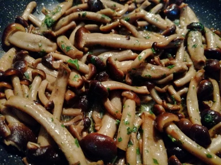 Tra I nostri prodotti: i funghi champignon e famigliola per sapori più boscaioli sia in Cucina che in Pizzeria