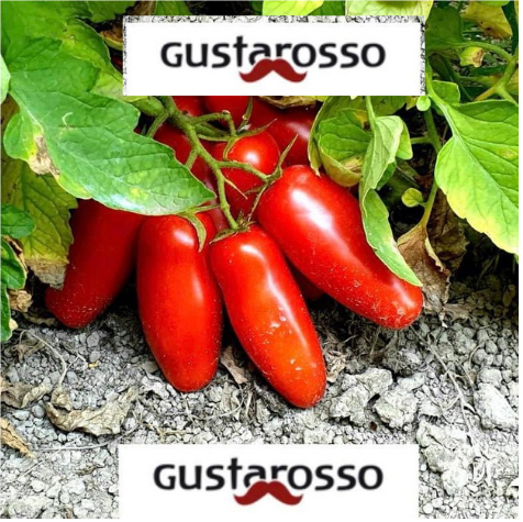 La Pomodoria Gustarosso in Storytelling del food per il San Marzano